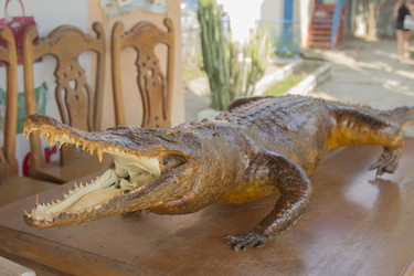 Similar image 2922728