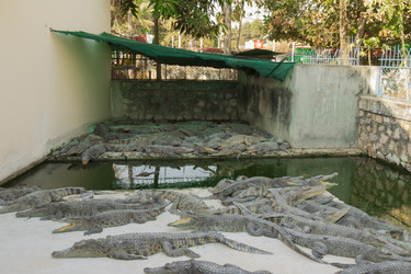 Similar image 2922729