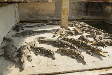 Similar image 2922730