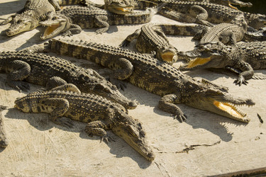 Similar image 2922731