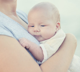 Similar image 2922939