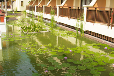 Similar image 2922956