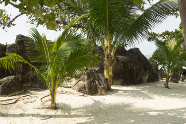 Similar image 2922986