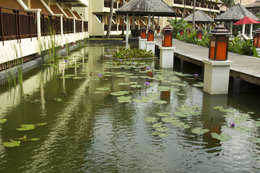 Similar image 2923001