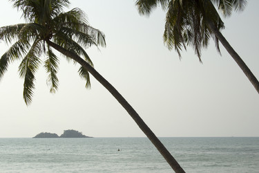 Similar image 2923012