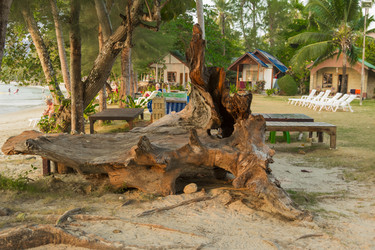 Similar image 2923064