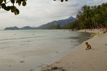 Similar image 2923069