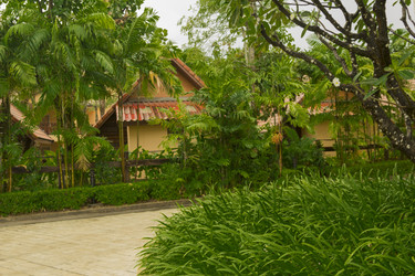 Similar image 2923075