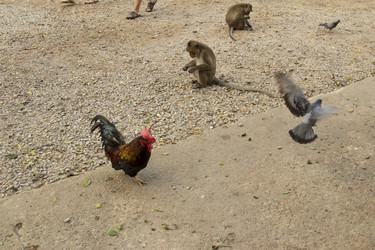 Similar image 2923114