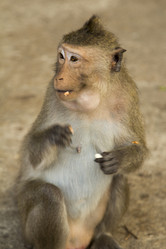 Similar image 2923115