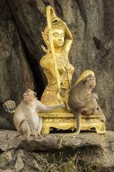 Similar image 2923121