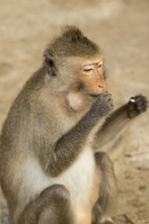 Similar image 2923122