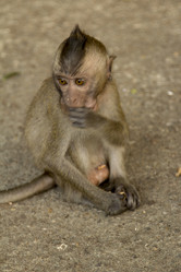 Similar image 2923123