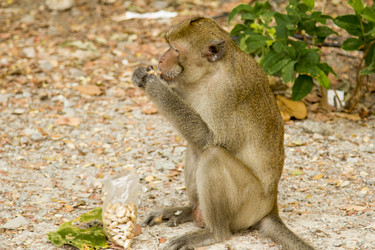 Similar image 2923125