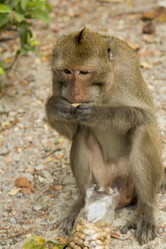 Similar image 2923127