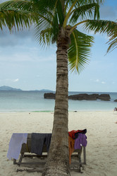 Similar image 2923139