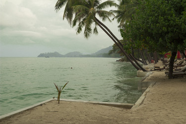 Similar image 2923144