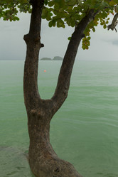 Similar image 2923145