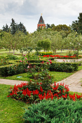 Similar image 2923156