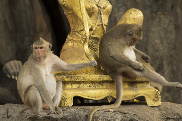 Similar image 2923171