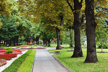 Similar image 2923177