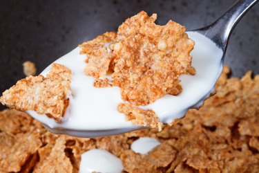 Similar image 2923229