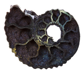 Similar image 2923309