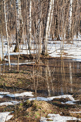 Similar image 2923338