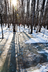 Similar image 2923341