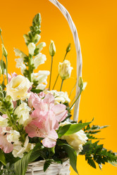 Similar image 2923484