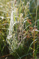 Similar image 2923486