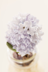 Similar image 2923488