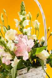 Similar image 2923492