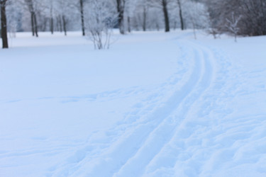 Similar image 2923499