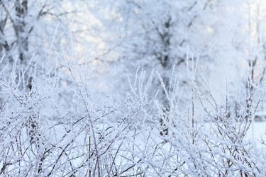 Similar image 2923500