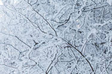 Similar image 2923501