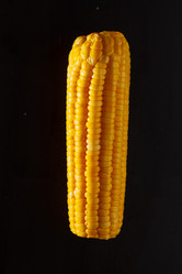 Similar image 2923503