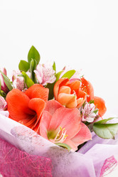 Similar image 2923506