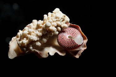 Similar image 2923520