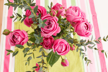 Similar image 2923531