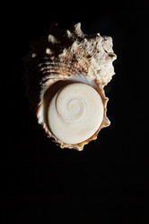 Similar image 2923532