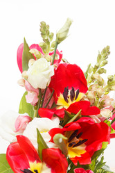 Similar image 2923536