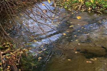 Similar image 2923541