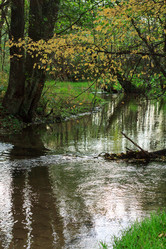 Similar image 2923552