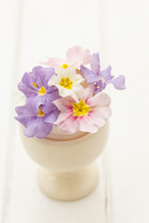 Similar image 2923565