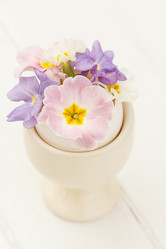 Similar image 2923566