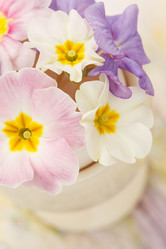 Similar image 2923568