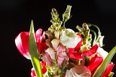 Similar image 2923569