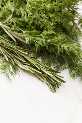 Similar image 2923571