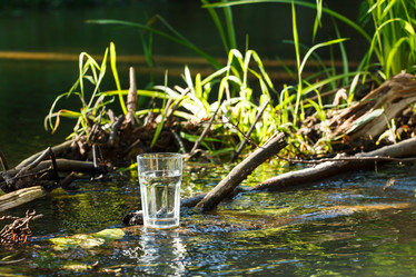 Similar image 2923572